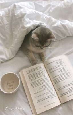 Những Câu Truyện Ngắn Của Tôi[BL,GL]