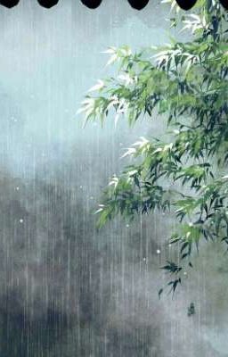 Những cơn mưa đi qua