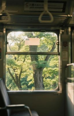 Những đứa trẻ của ngôi làng năm ấy .