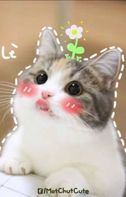 Những trang nhật kí của cậu