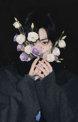 Ninh Du: Hoa Cát Tường 