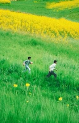 Ninh Du | Nguyệt Nguyệt