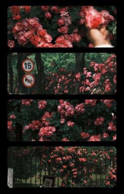 [ nobita ][nobishizu] Kiếp Nạn Ngày Valentine