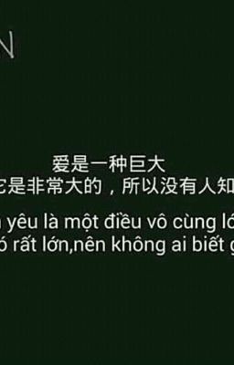 Nỗi Lòng Người Con Gái 