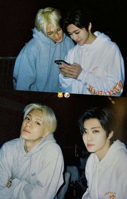 [Nomin/ABO] - Cưng nhầm Alpha