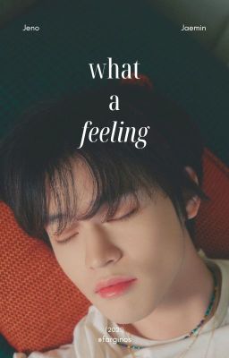 nomin ✘ what a feeling