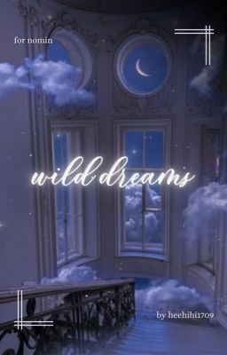 nomin • wildest dreams