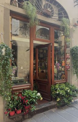 Notturno in Florence - Guria