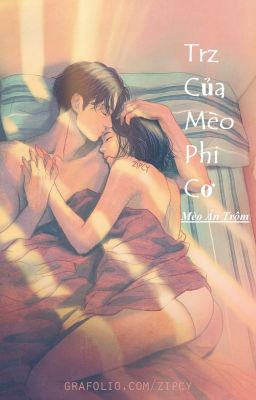 (NP, cao H) Truyện của Mèo phi cơ