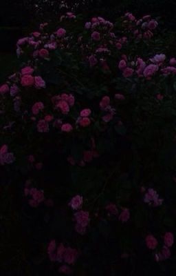 ốm