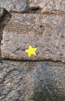 on2eus; một từ để miêu tả bà hôm nay nhá