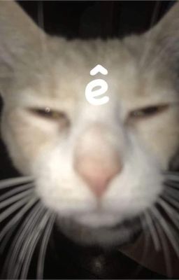 on2eus : thằng oắt con