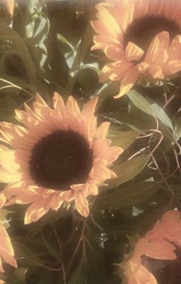 [On2eus] Yours, Silently