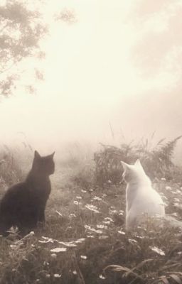 |one high school heroes|; bàn cờ thứ 8