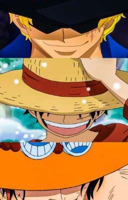 (One Piece) Không Thấy Đường Về