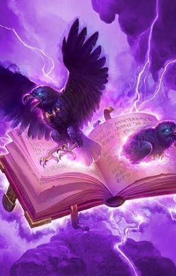 ( One piece) phù thủy mê tiền