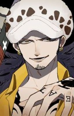 (One piece/Pov) Bạn và Trafalgar Law là người yêu