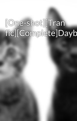 [One-shot][Tran fic][Complete]Daybreak[Completed]