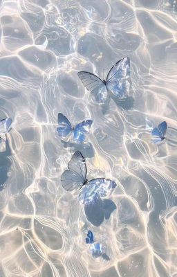 [OnElk] Trái Đắng