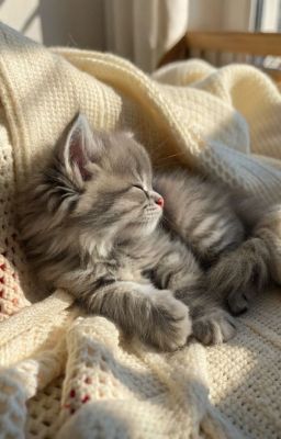 [Oneshort-Ngọc Vũ] Đêm