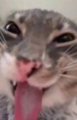 oneshot | before sunrise.