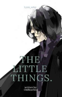 <oneshot HP/SSHP> The Little Things.