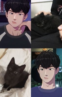 [Oneshot - Kkamdol] Bé mèo đen nhỏ 🐈‍⬛