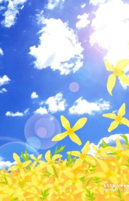 [Oneshot KyuMin] [Super Junior] Lòng kiêu hãnh