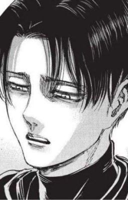 Oneshot | Levi x Reader