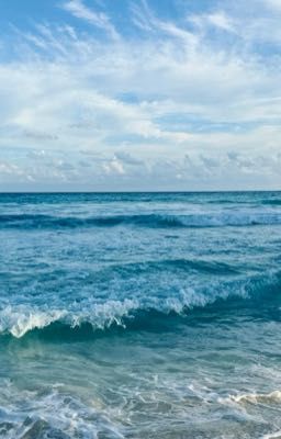 [ ONESHOT ] Màu vàng chanh - vị bạc hà