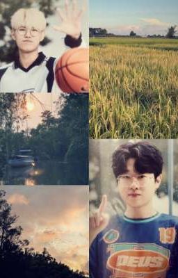 [Oneshot/Oneshot] Cánh Chim Nơi Chân Trời