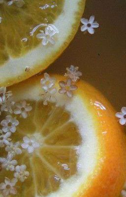 Onran; Chàng Hoạ Sĩ Không Tên