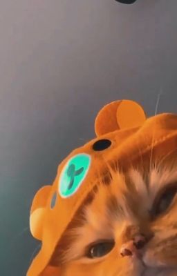 [ onran ] dù là em út, nhưng hình như không còn mít ướt nữa rồi