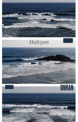 [ONRAN] Halcyon