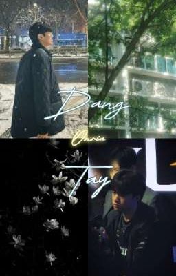 🫧✨onria | Dang Tay ♡