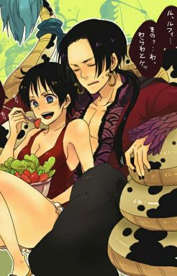 ⸢OP⸥ Khi Luffy Là Con Gái