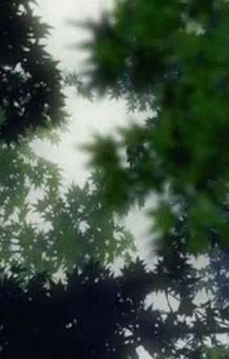 (OS) Gojo Satoru - Người Không Khóc Trong Tang Lễ