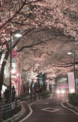 [OTP] 𐙚 Chuyện tình chúng mình ✧˖°