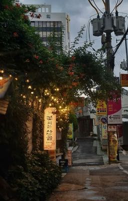 [OTP] 𐙚 Lần Cuối ✧˖°