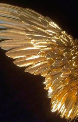 [ PayCheck ]: Feather_