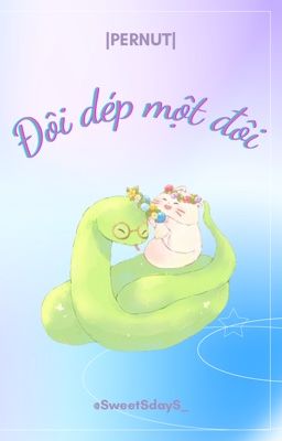 PERNUT ❦ Đôi dép một đôi | ♡ ☼ ⋆｡˚⋆ฺ ∞︎︎ 