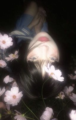 pernut ; nếu ánh trăng chưa từng dẫn lối