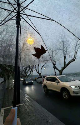  Pernut▸♡ı|ııı|ı|Nếu Yêu Nhau Sẽ Trở Về Bên Nhau Thôi 