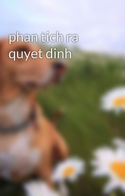 phan tich ra quyet dinh