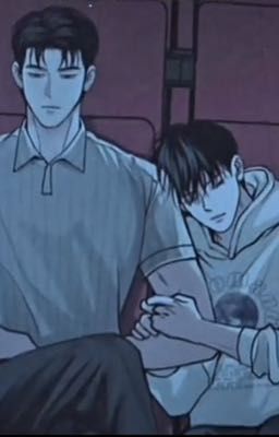 Projection (NOVEL/BL)