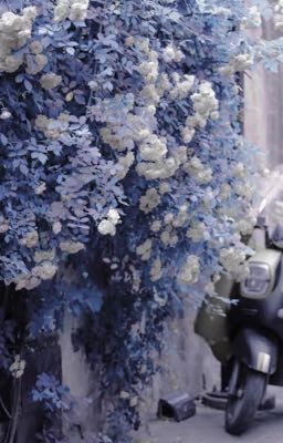 [QT] Tổng Hợp Đồng Nhân ZhongChi