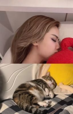 quán ăn vỉa hè