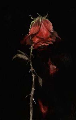 [Quang Cường] Hoa Máu