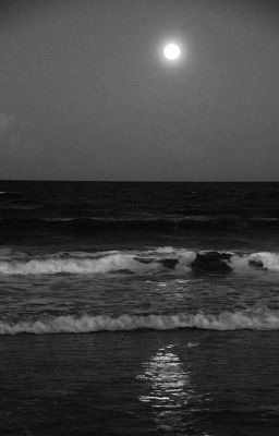 [quillen x yorn ] Mặt trời và Bóng tối