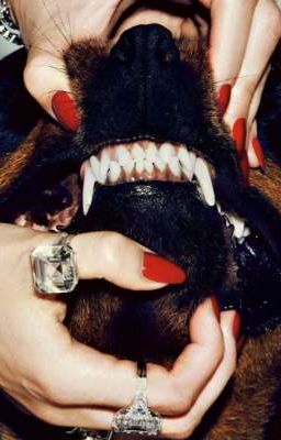 r18 | nhatit ★ đểu